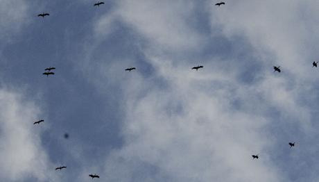 Örnek haber adı gelecek.