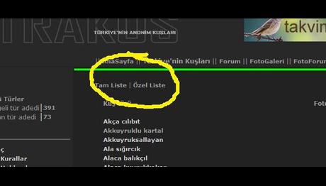 Örnek haber adı gelecek.