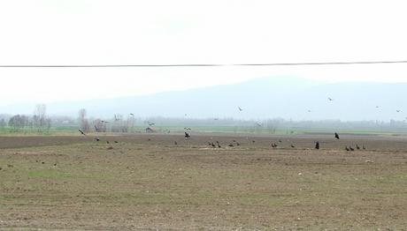 Örnek haber adı gelecek.