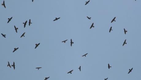 Örnek haber adı gelecek.