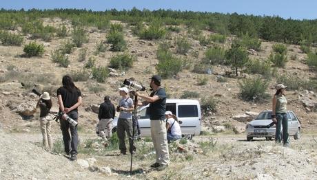TRAKUS KARAGÖL KUŞ GÖZLEMİ