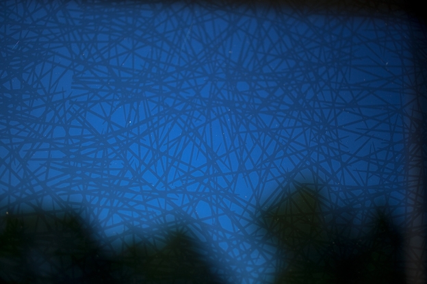 kuslar-mimari-tasarimlara-yon-veriyor