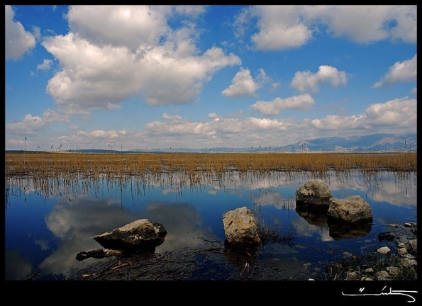 2-subat-dunya-sulak-alanlar-gununde-sulak-alan-ustun-basari-odulu-verilecek--
