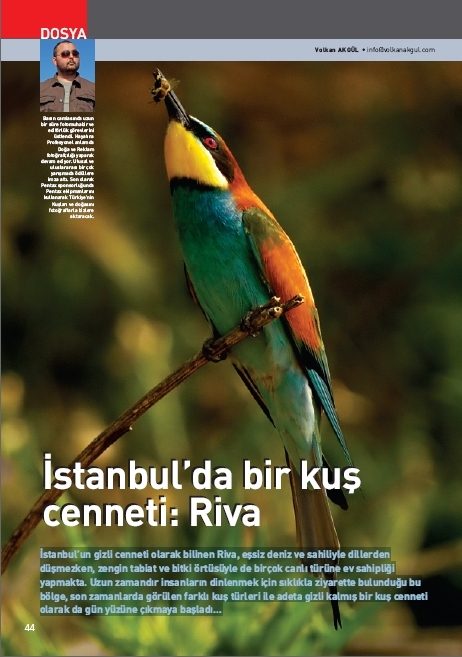 -istanbulda-bir-kus-cenneti-riva