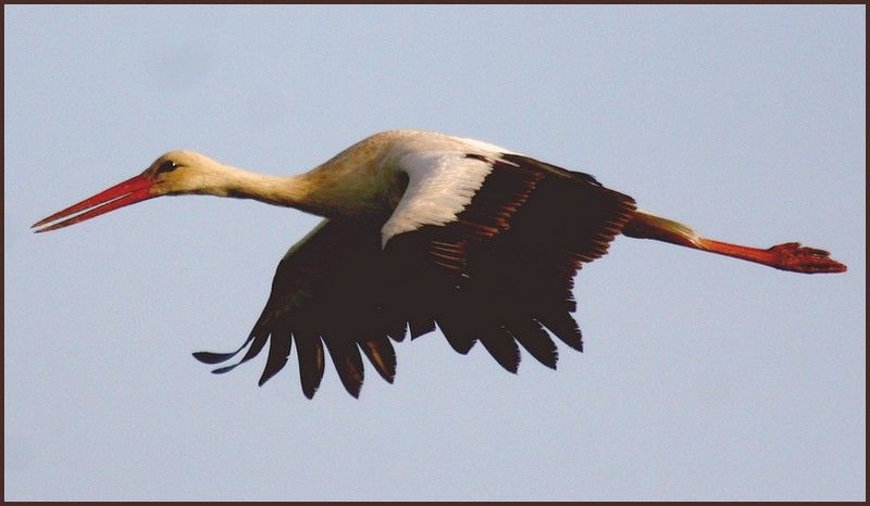 yeni-havalimanina-yerli-kus-radari