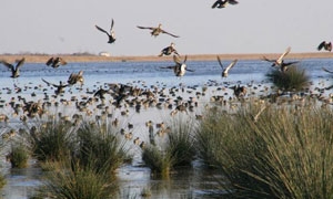 milli-parklar-imara-aciliyor!