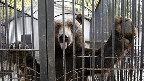 hayvanat-bahcesi-ziyaretci-rekoru-kirdi