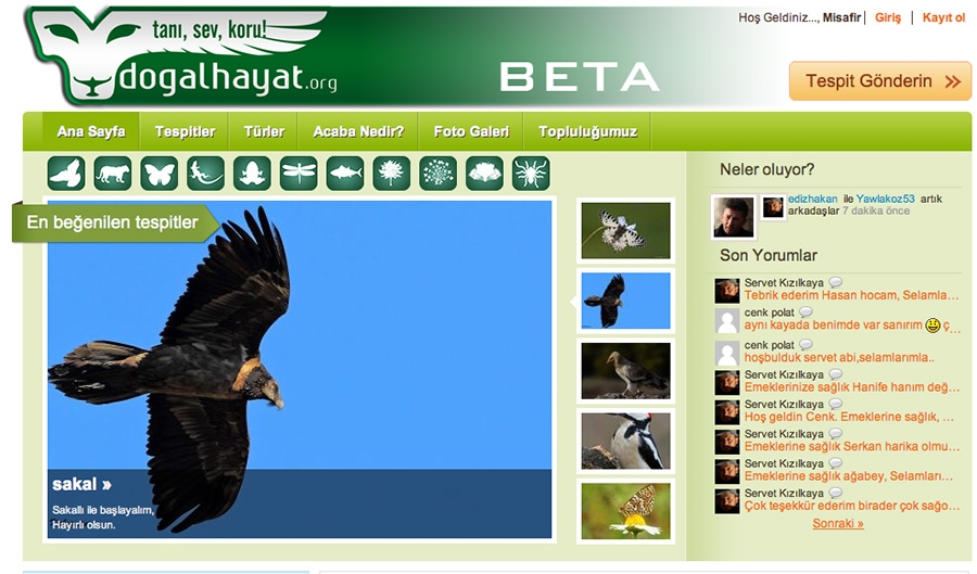 yeni-bir-doga-sitesi