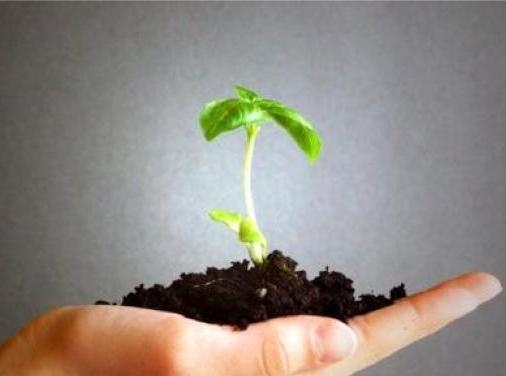 orman-haftasinda-daricanin-nefesini-aciyoruz-