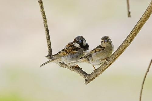 bugundunya-serce-gunu!!