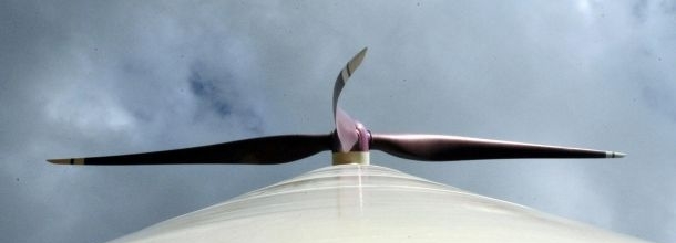 kus-olumlerine-mor-kanatli-cozum-arayisi