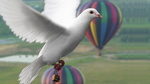 kuslar-mesir-macunu-tasidi