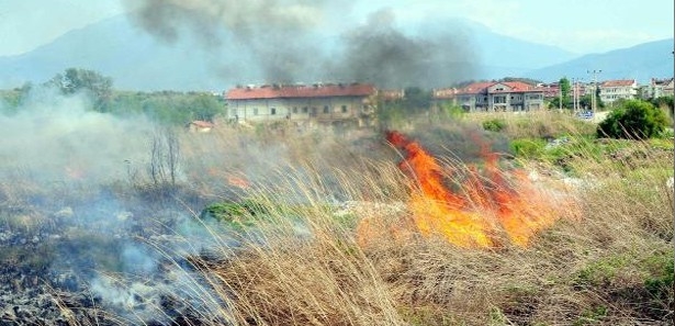 kus-cenneti-yanginda-kul-oldu