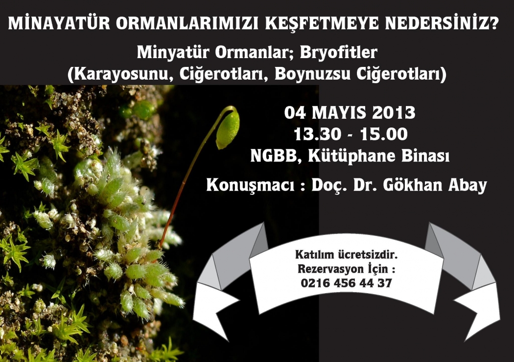 minyatur-ormanlarimizi-kesfetmeye-hazirmisiniz-