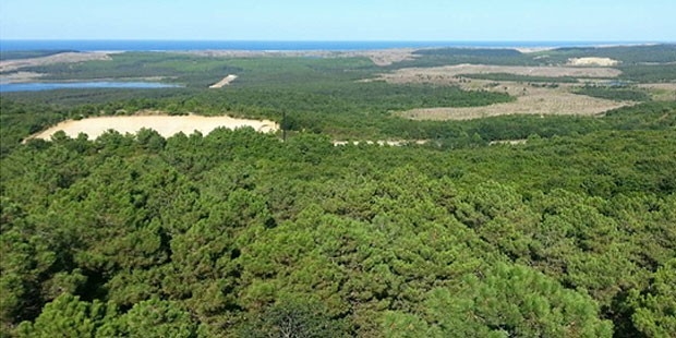 gol-nerede-havalimani-yuttu!