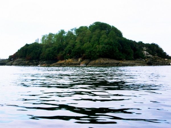 kuslar-bu-adaya-rezervasyon-yapti