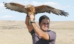 risk-alan-turk-kâsif