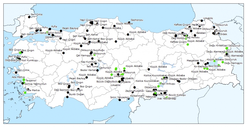 deneysel---e-bird-ve-kusbank