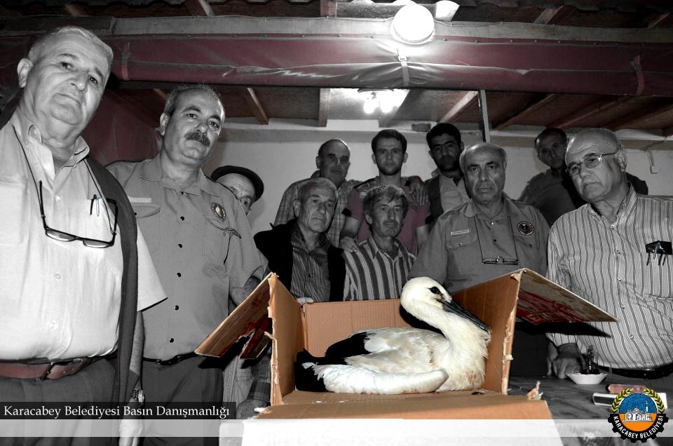 leylekler-icin-seferber-oldular