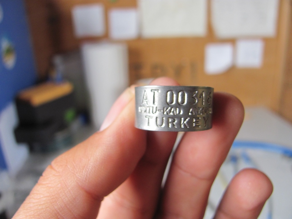 kus-halkalama-temel-egitim-ilani