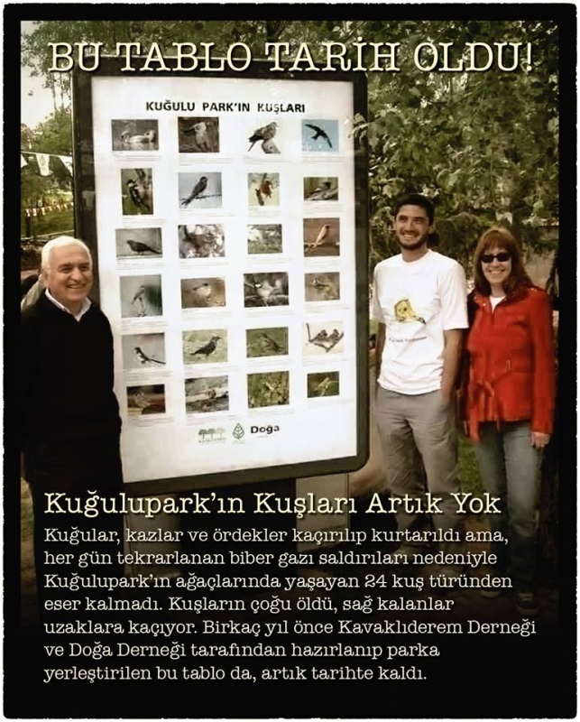 kugulu-parkin-kuslari-artik-yok