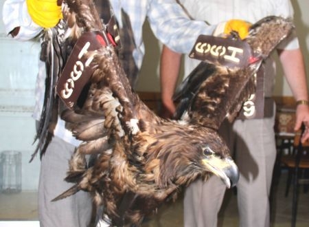 israil\de-dogaya-salinan-kartal-kastamonu\da-bulundu