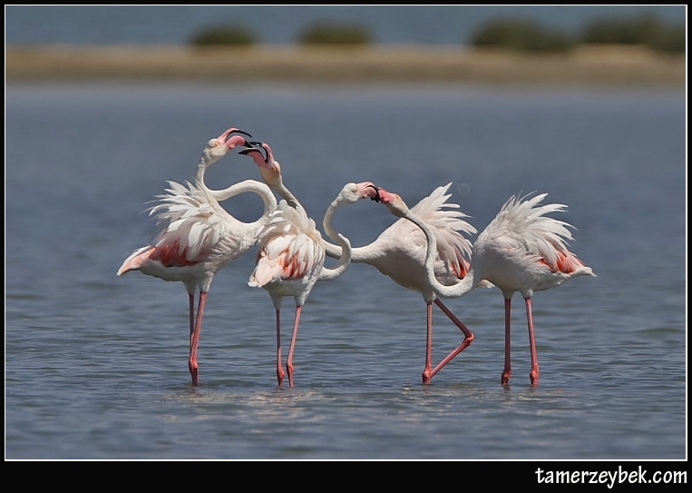 sonbaharda-en-guzel-5-doga-alani