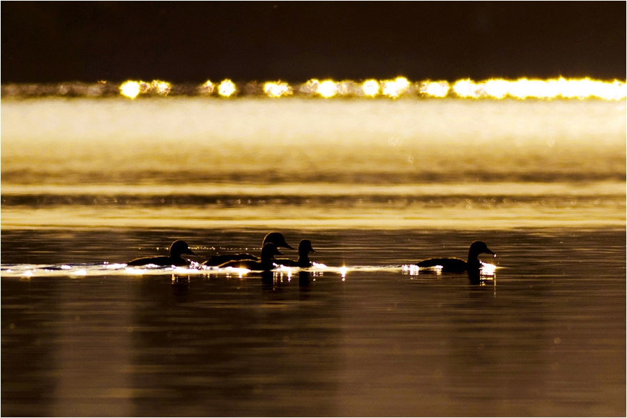 fotograf-ve-sihirli-saatler