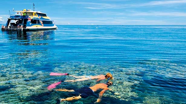 yat-isletmecilerinin-`yaban-hayati`-duyarliligi