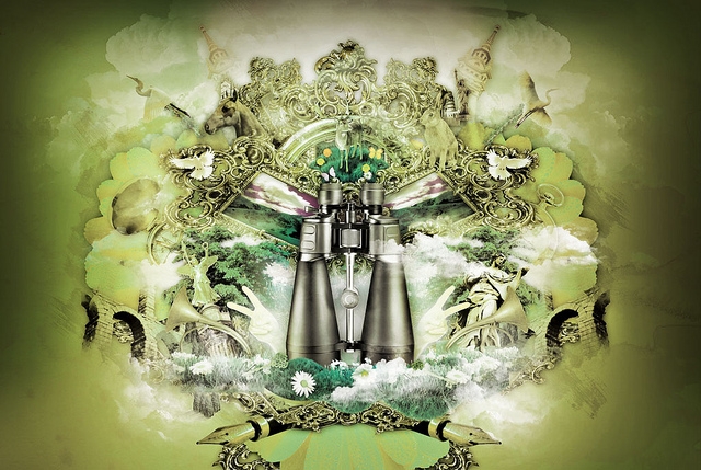 kus-fotografcisi-ve-gozlemcisinin-sozlugu