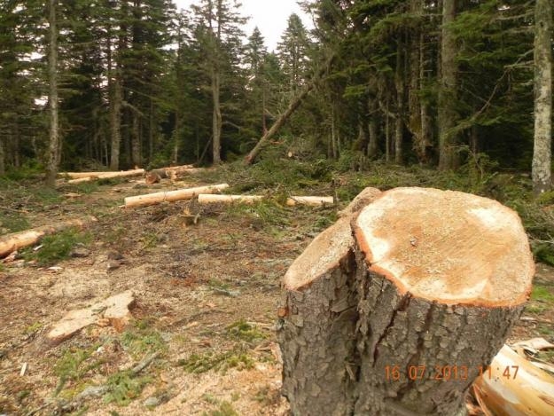 uludag\da-agac-katliami