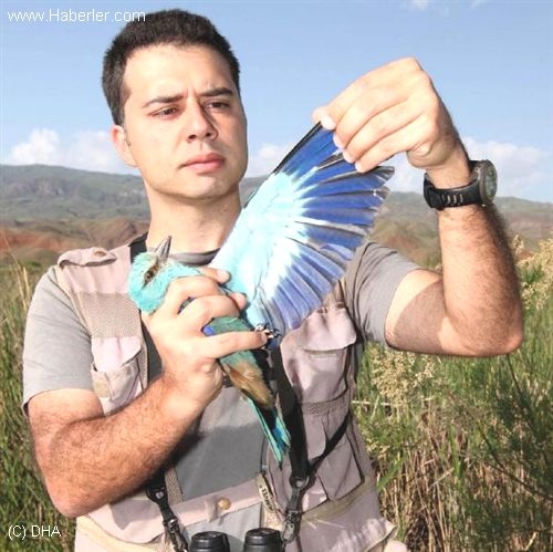 kus-cennetine-umut-isigi