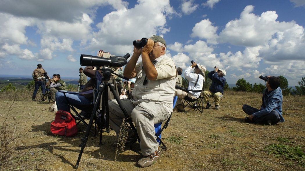 goc-yollari-bir-hazinenin-yok-olusu!