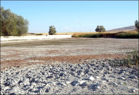 kuruyan-kus-cenneti-icin-yeni-umut-dogdu