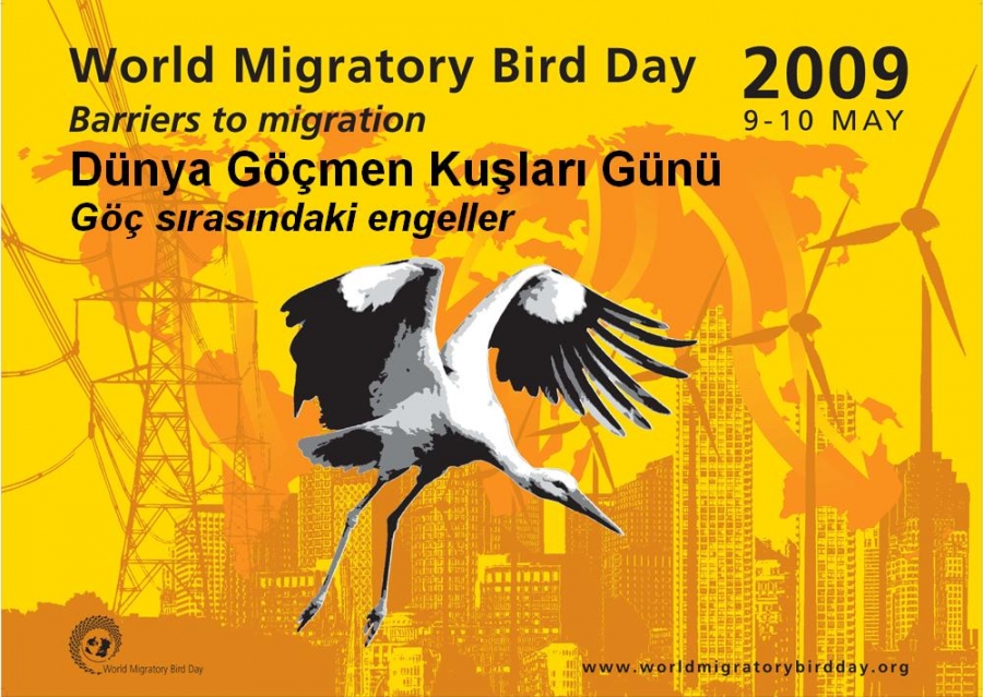 9-10-mayis-dunya-gocmen-kuslar-gunu