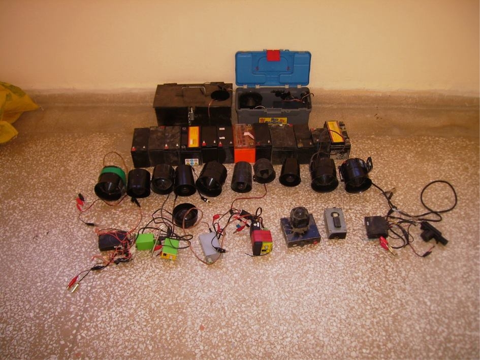 yasak-ava-rekor-ceza