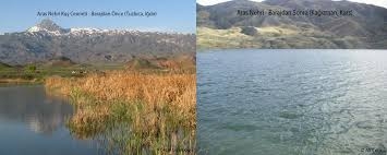 eroglundan-aras-nehri-kus-cenneti-kampanyasina-cevap