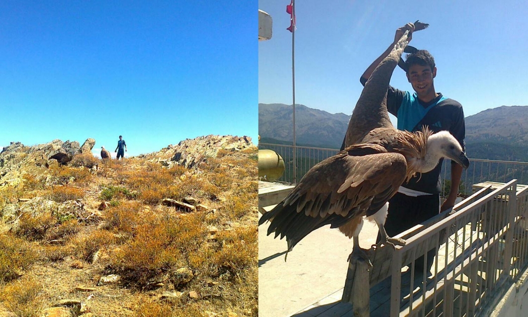 kizil-akbabadan-haber-var