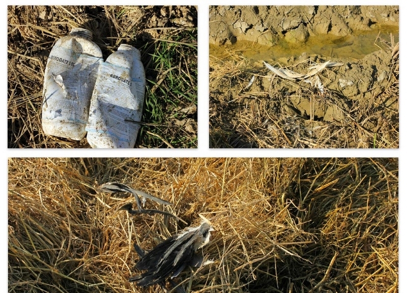 goc-edirne\de-kesildi