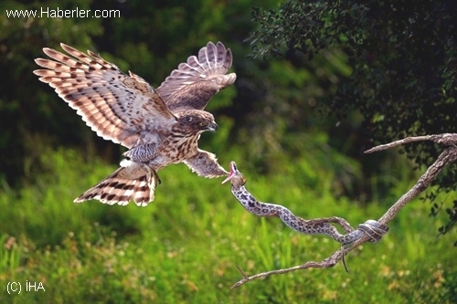 uluslararasi-fotograf-yarismasi-sonuclandi