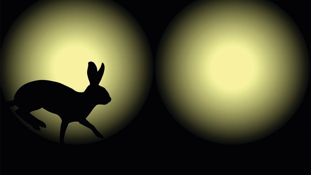 insanlik-icin-tavsan-hukuku