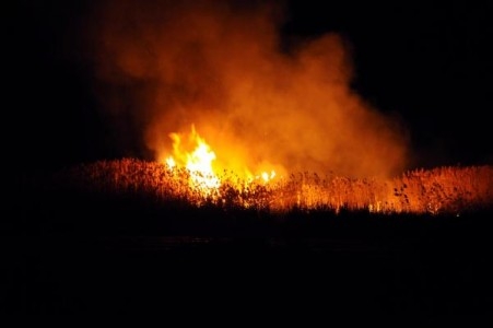 kus-cenneti-sazliklari-yandi