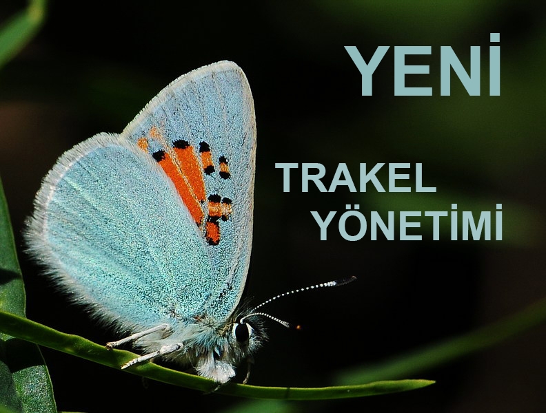 trakel-yeni-yonetim