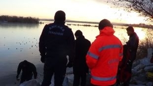 donan-golde-mahsur-kalan-kus-son-anda-kurtuldu