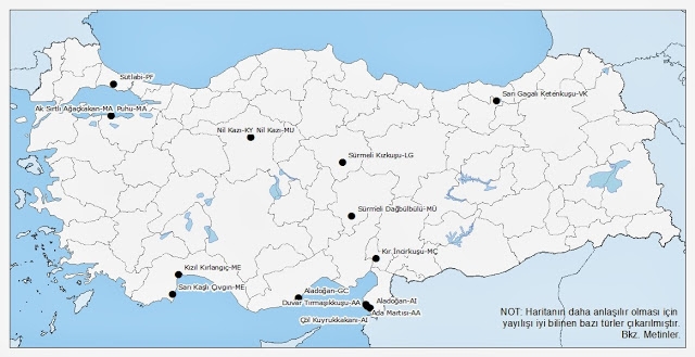 kasim-2013-kusbank-blog