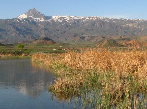 kâsifin-korktugu-oluyor-