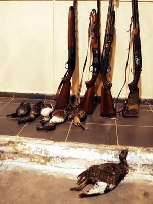 11-yildir-gorulmeyen-mezgeldek\i-de-vurmuslar