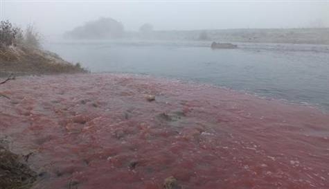 simav-cayi\nda-kirlilik-incelemesi