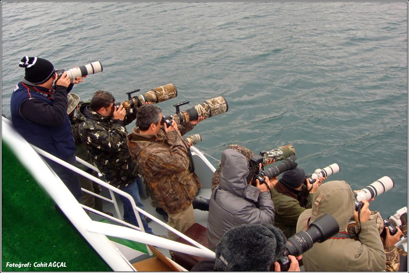 kus-fotografciliginda-ekipman-kombinasyonlari