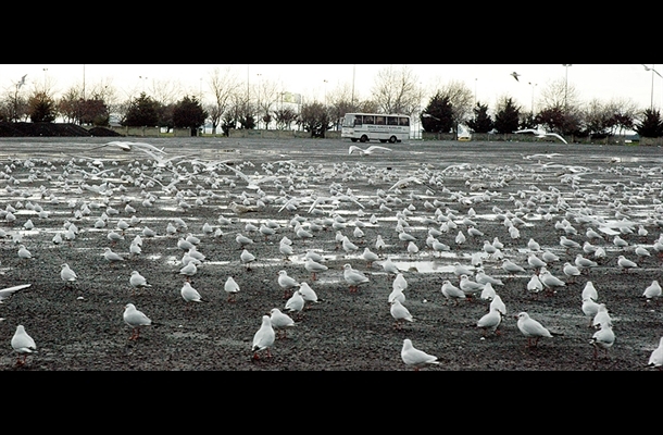 kazlicesme-miting-alanini-bu-kez-martilar-doldurdu-